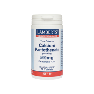 Calcium Pantothenate 500mg