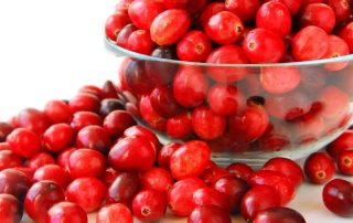 HERBAL MEDICINE CRANBERRY INTRODUCTION AND TRADITIONAL ORIGINS