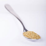 Lecithin Granules