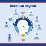 Night Time (Pistachio extract 100mg)