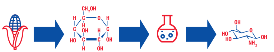 Section 4 Image 3