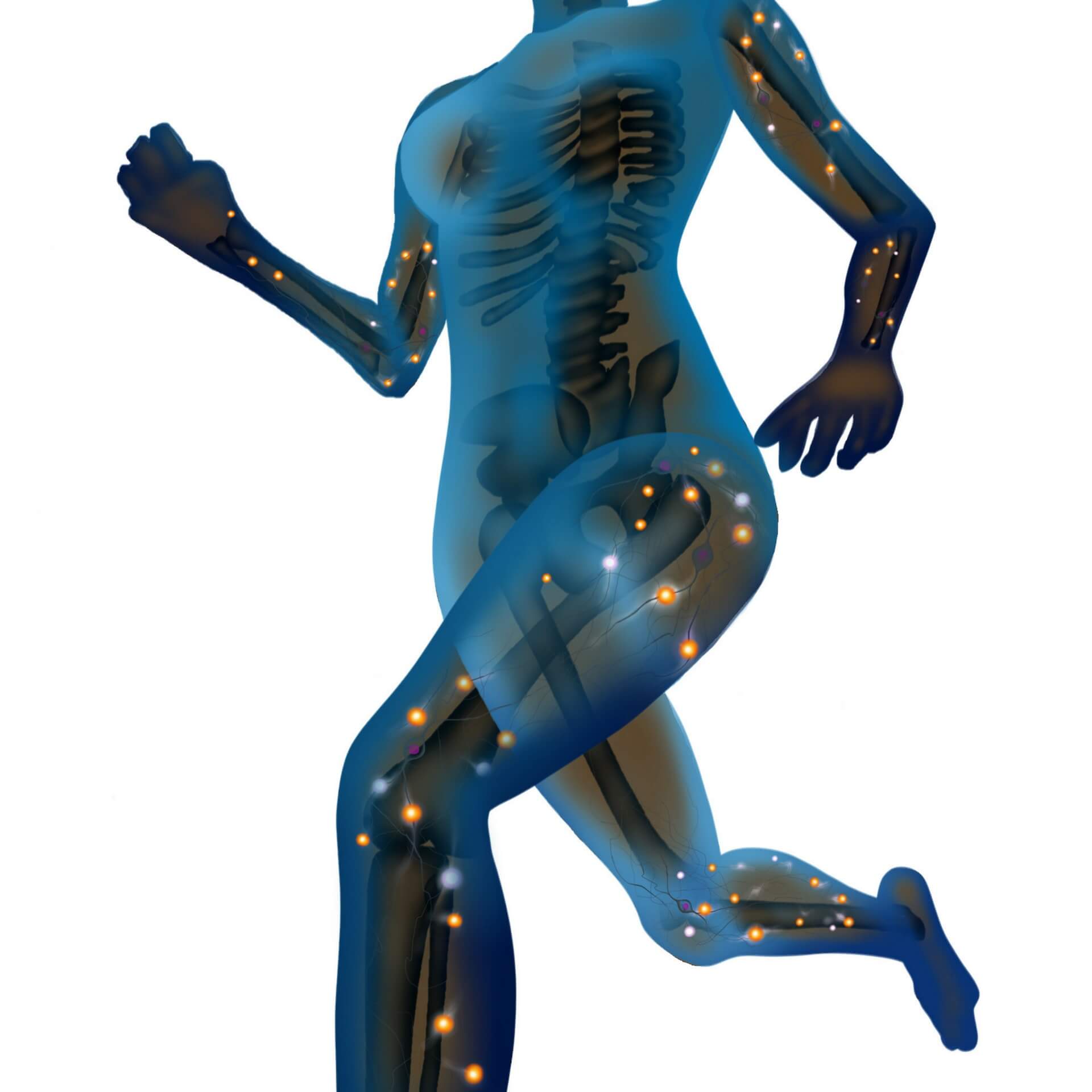 Exercise and Fluid Replacement