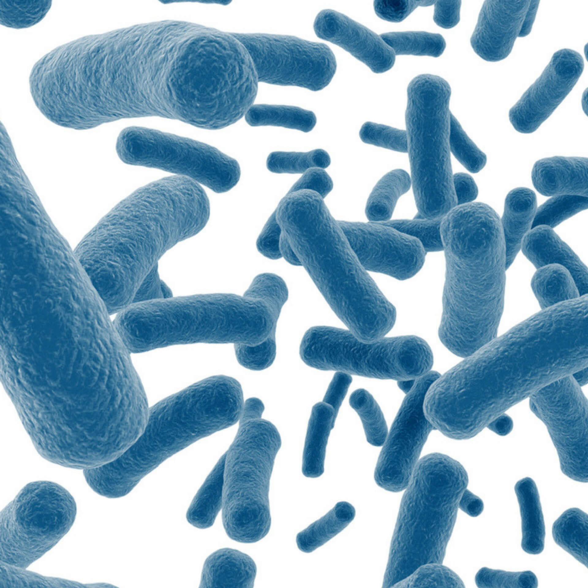 Inulin-Type Prebiotics – A Review: Part 1