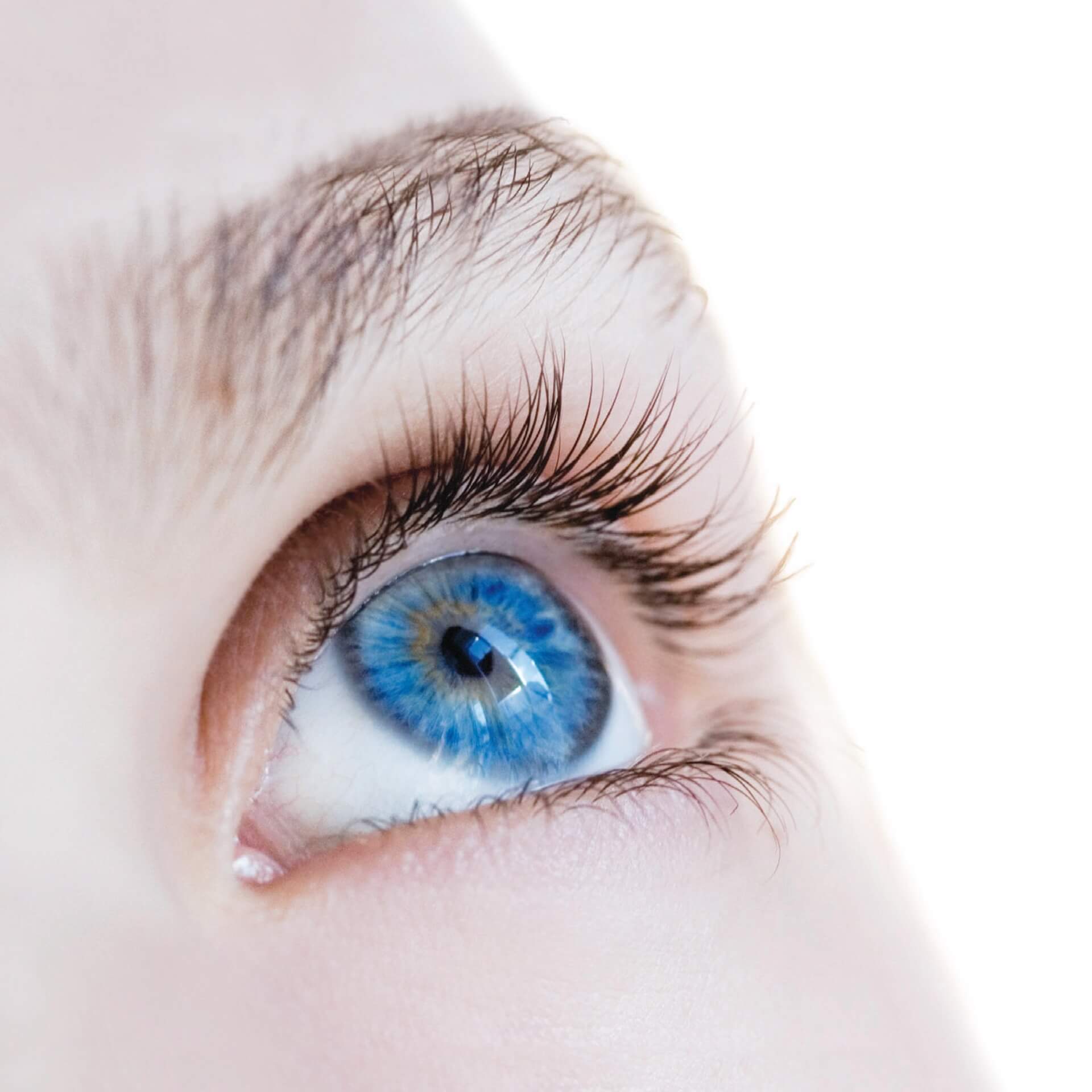 Dietary Sources of Lutein and Zeaxanthin Carotenoids and Their Role in Eye Health