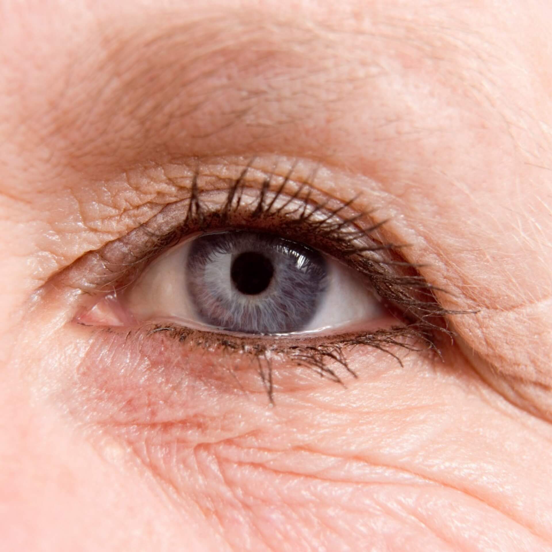 Intracellular Uptake Mechanism of Lutein in Retinal Pigment Epithelial Cells