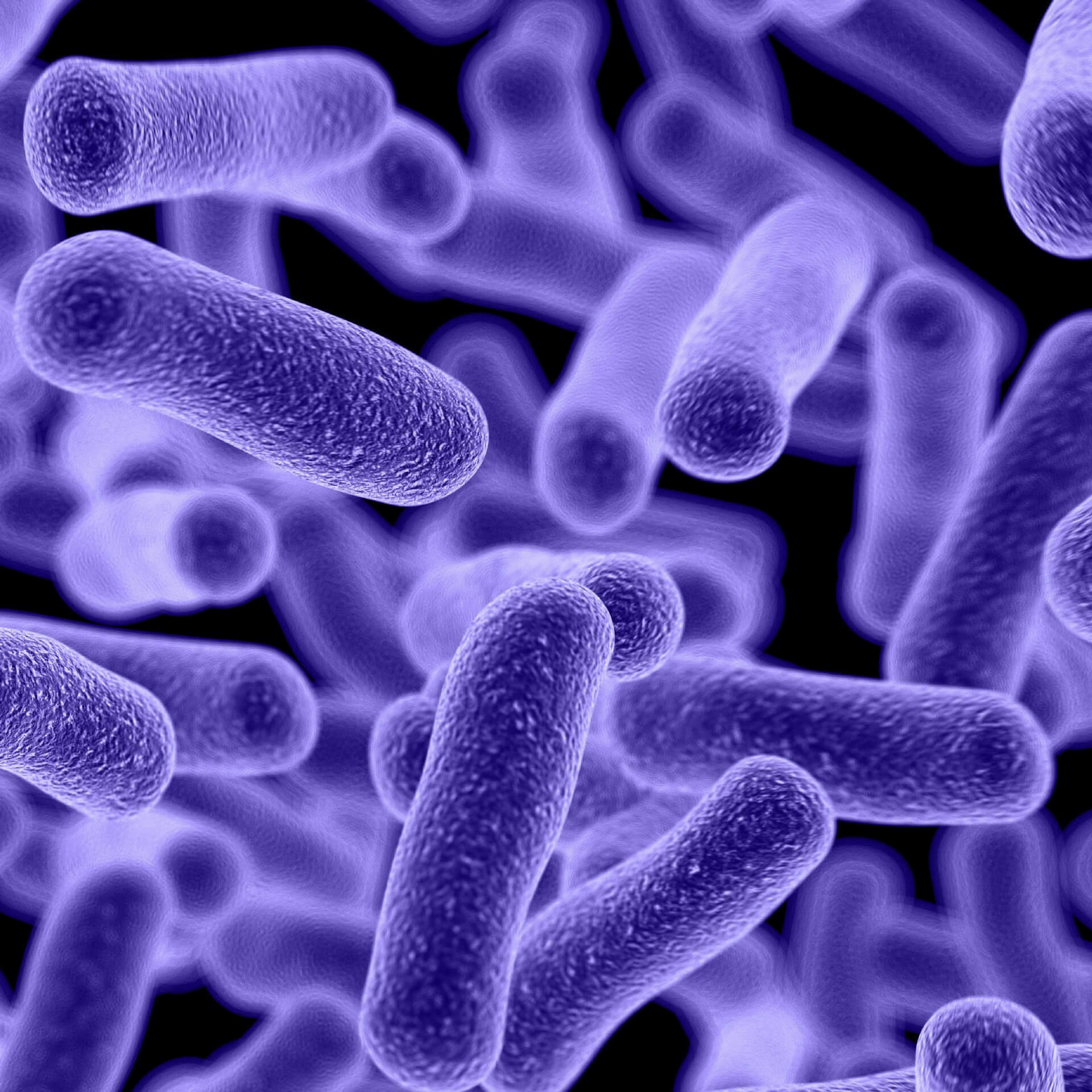 Dietary Modulation of the Human Colonie Microbiota: Introducing the Concept of Prebiotics